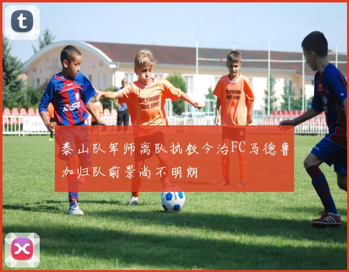 泰山队军师离队执教今治FC马德鲁加归队前景尚不明朗