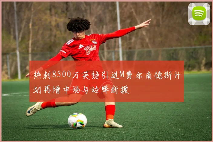 热刺8500万英镑引进M费尔南德斯计划再增中场与边锋新援