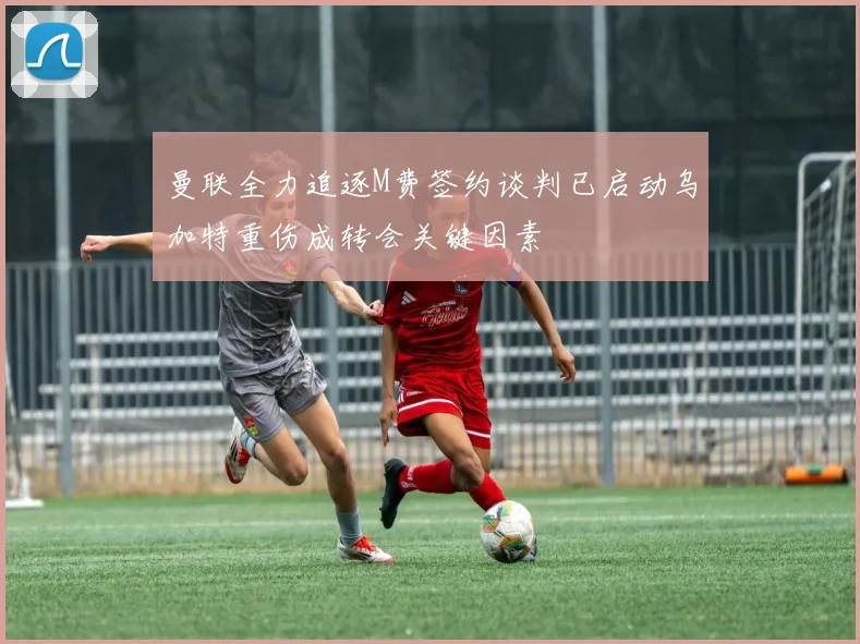 曼联全力追逐M费签约谈判已启动乌加特重伤成转会关键因素