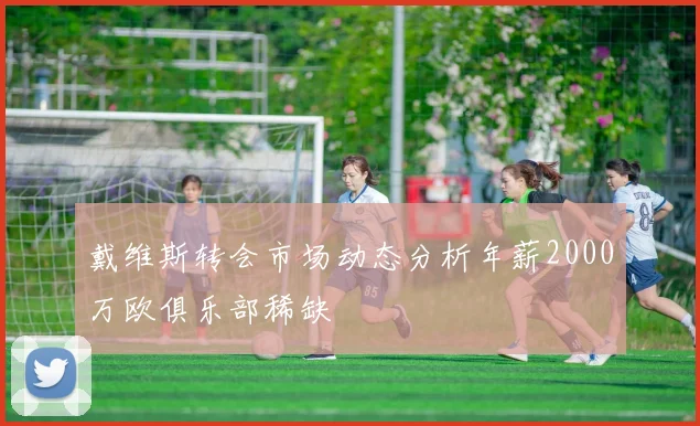 戴维斯转会市场动态分析年薪2000万欧俱乐部稀缺